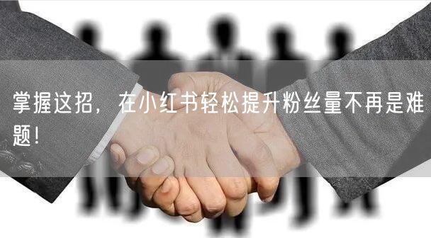 掌握这招，在小红书轻松提升粉丝量不再是难题！