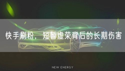 快手刷粉，短暂虚荣背后的长期伤害