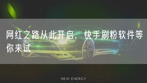 网红之路从此开启，快手刷粉软件等你来试