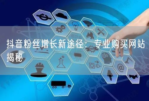 抖音粉丝增长新途径：专业购买网站揭秘