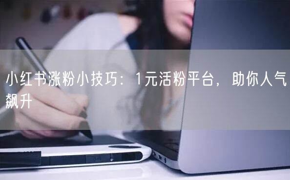 小红书涨粉小技巧：1元活粉平台，助你人气飙升