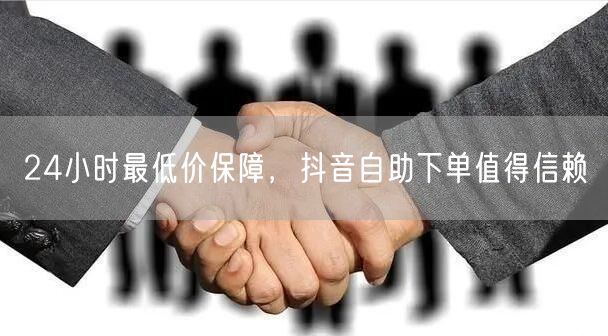 24小时最低价保障，抖音自助下单值得信赖