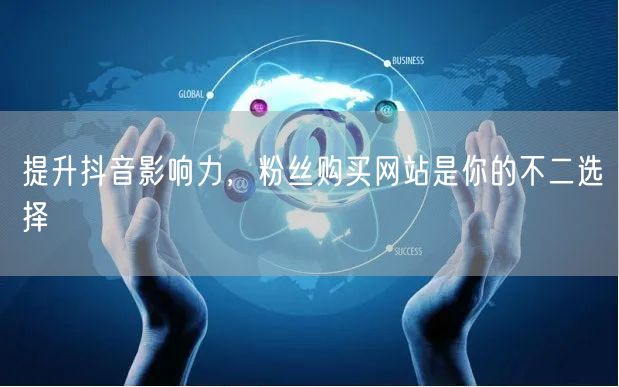 提升抖音影响力，粉丝购买网站是你的不二选择