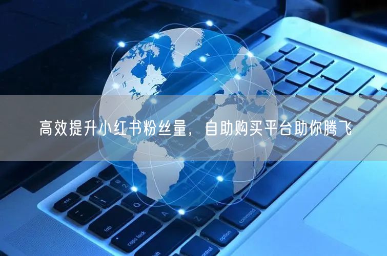 高效提升小红书粉丝量，自助购买平台助你腾飞