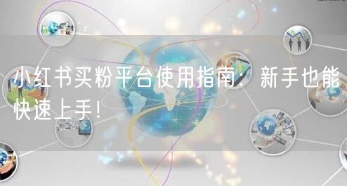 小红书买粉平台使用指南：新手也能快速上手！