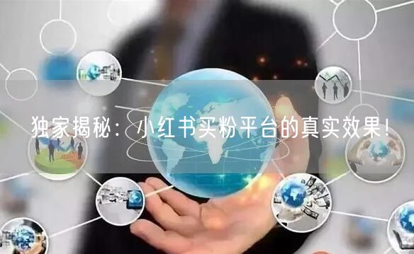 独家揭秘：小红书买粉平台的真实效果！