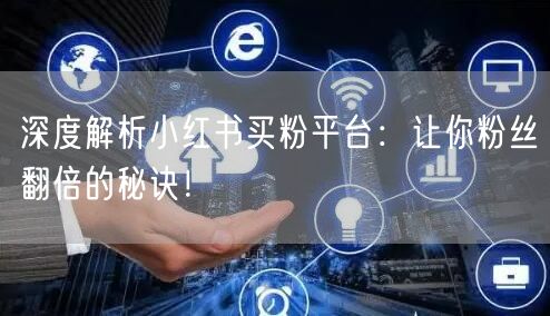 深度解析小红书买粉平台：让你粉丝翻倍的秘诀！