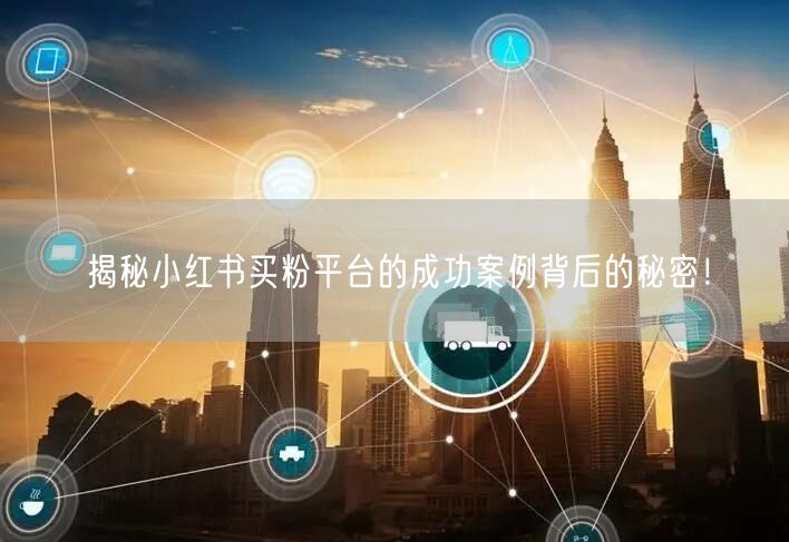 揭秘小红书买粉平台的成功案例背后的秘密！