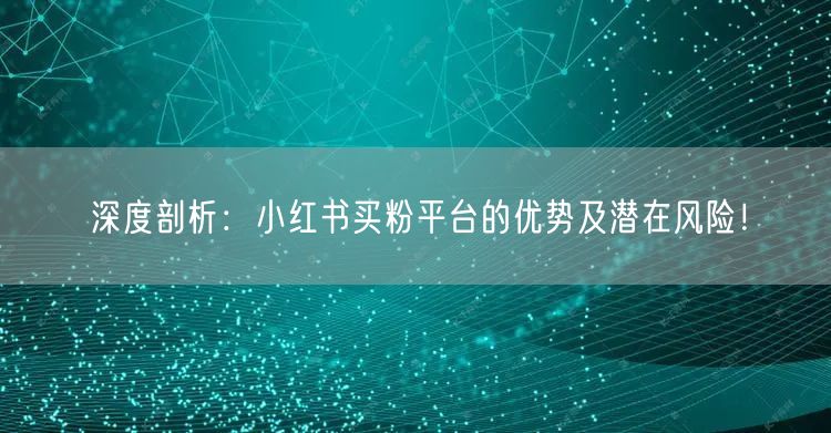 深度剖析：小红书买粉平台的优势及潜在风险！