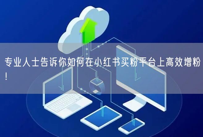 专业人士告诉你如何在小红书买粉平台上高效增粉！