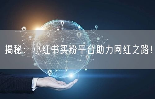 揭秘：小红书买粉平台助力网红之路！