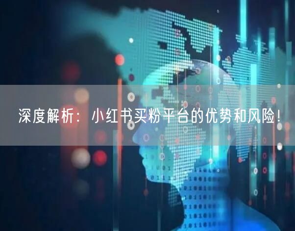 深度解析：小红书买粉平台的优势和风险！