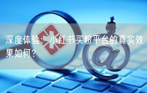 深度体验：小红书买粉平台的真实效果如何？