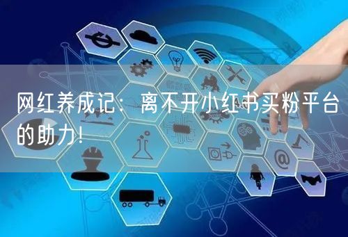 网红养成记：离不开小红书买粉平台的助力！