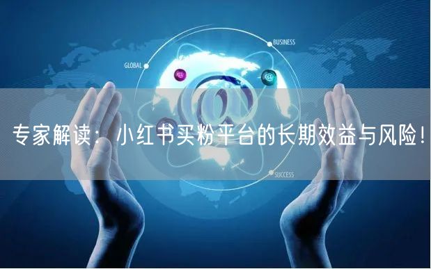 专家解读：小红书买粉平台的长期效益与风险！
