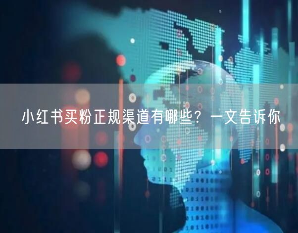 小红书买粉正规渠道有哪些？一文告诉你