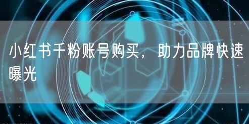 小红书千粉账号购买，助力品牌快速曝光